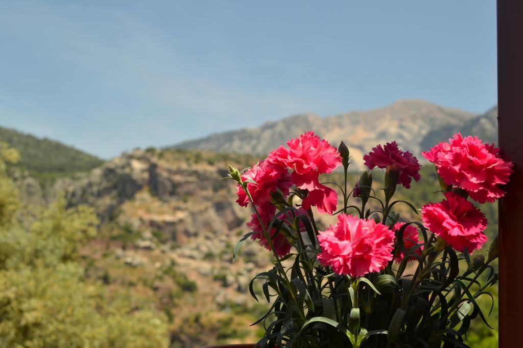 Faralya Misafir Evi Daire Dış mekan fotoğraf